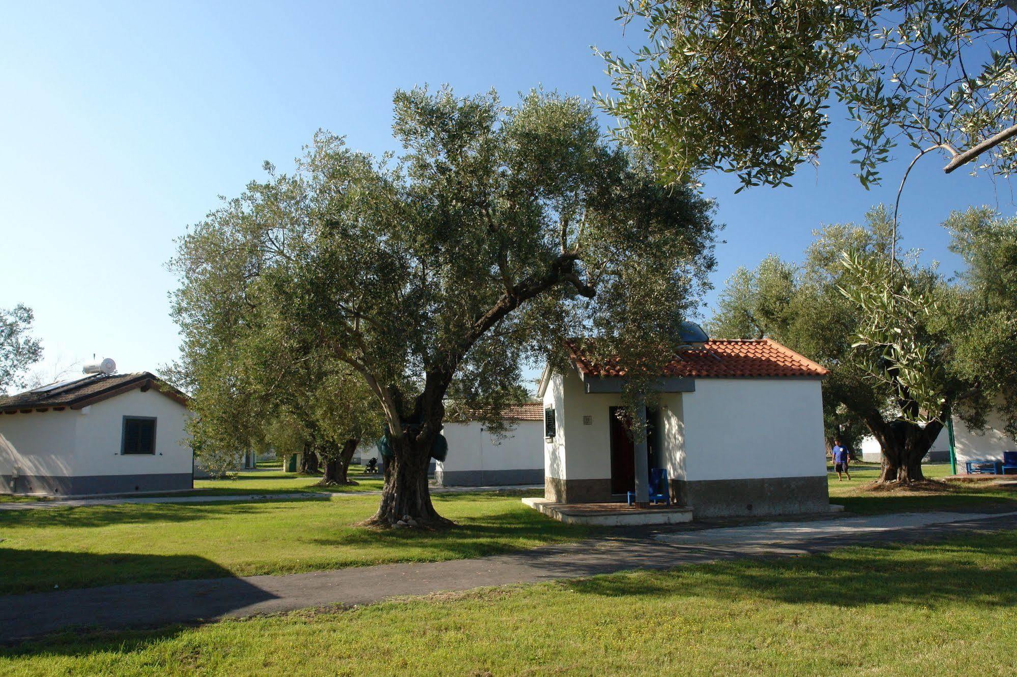 Villaggio Turistico Elea 3* Ascea