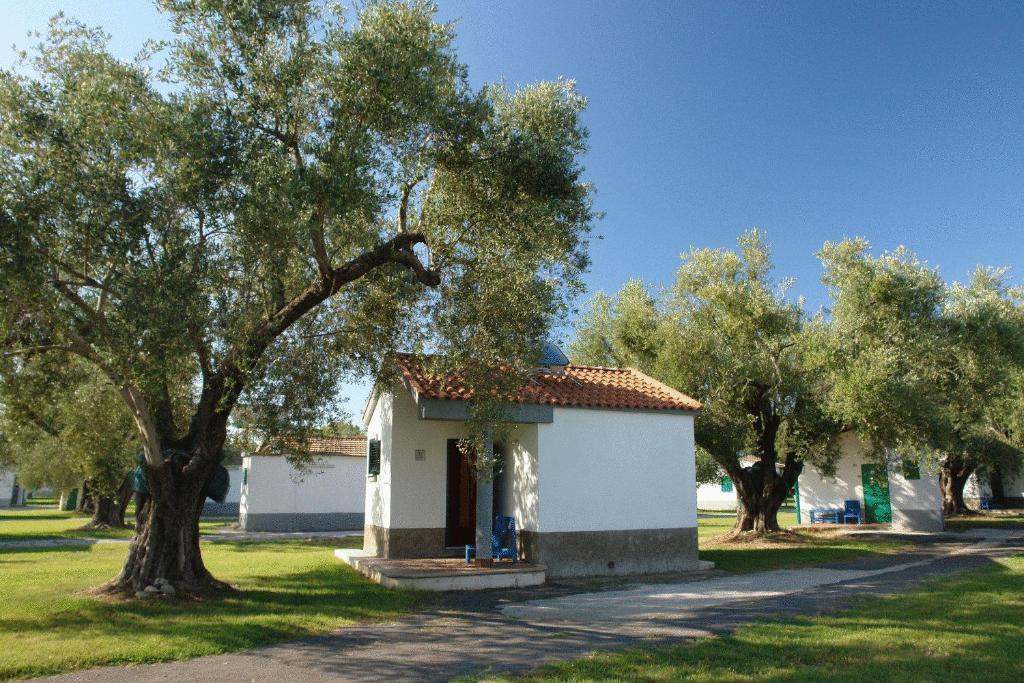 Villaggio Turistico Elea Ferienpark 3*